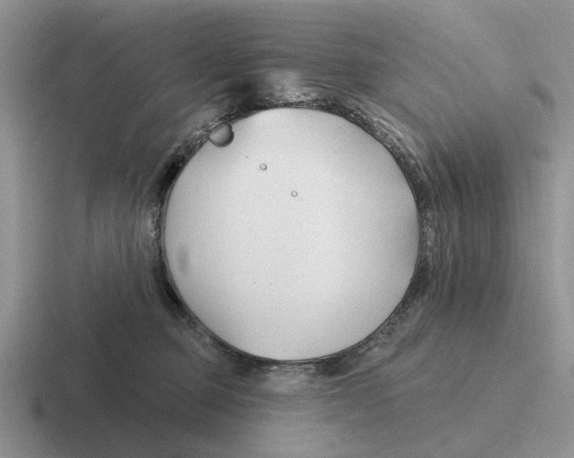 X0000116670373201001041134