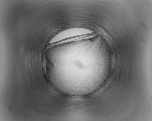 X0000116670377201001041134