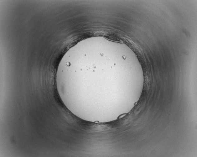 X0000116670379201001041134