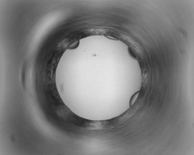 X0000116670381201001041134