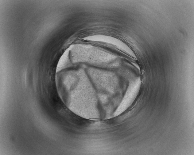 X0000116670382201001041134