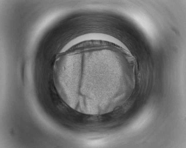 X0000116670383201001041134