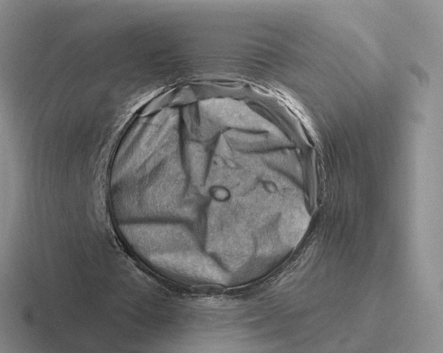 X0000116670385201001041133