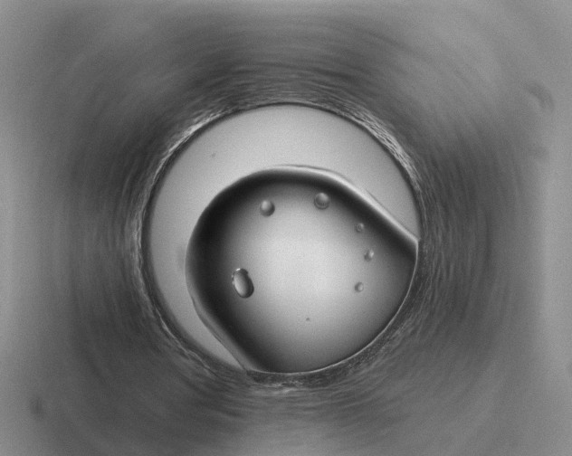 X0000116670386201001041133