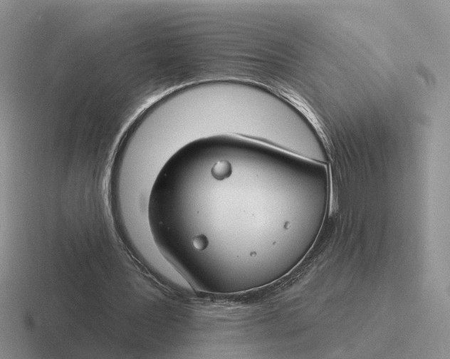 X0000116670387201001041133