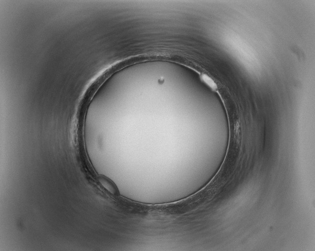 X0000116670388201001041133