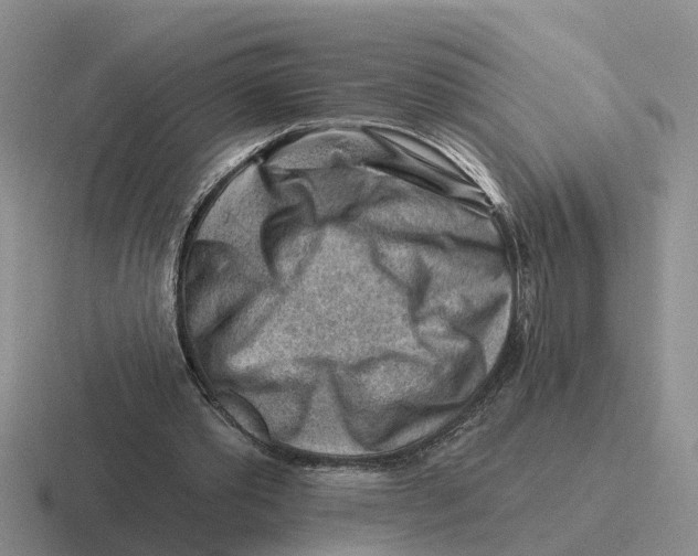 X0000116670389201001041133