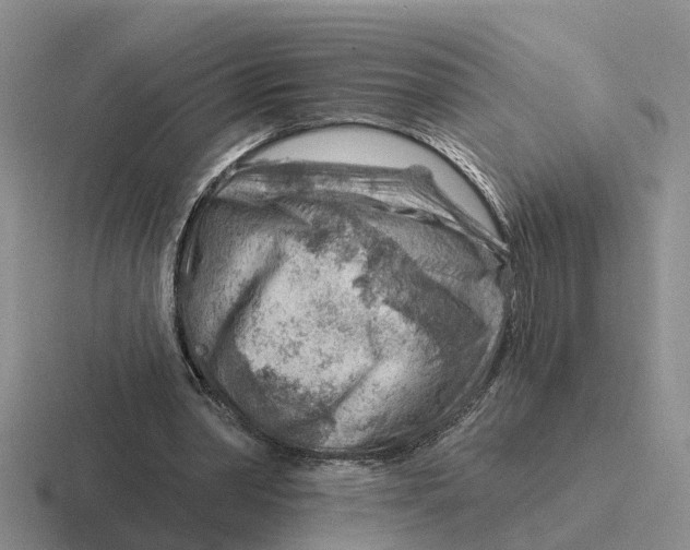 X0000116670390201001041133