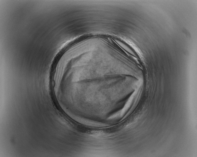 X0000116670391201001041133