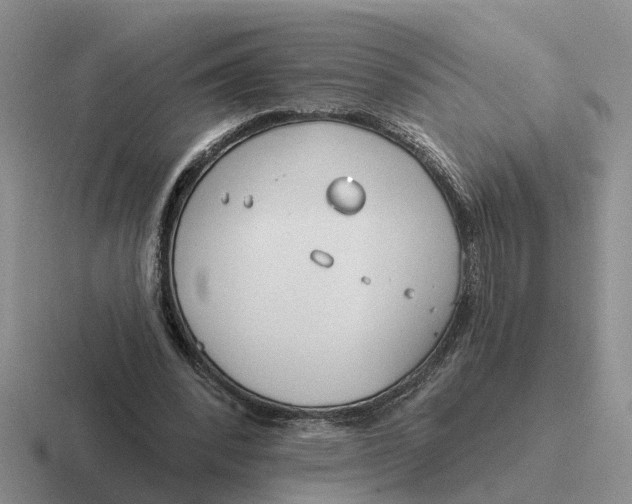 X0000116670392201001041133