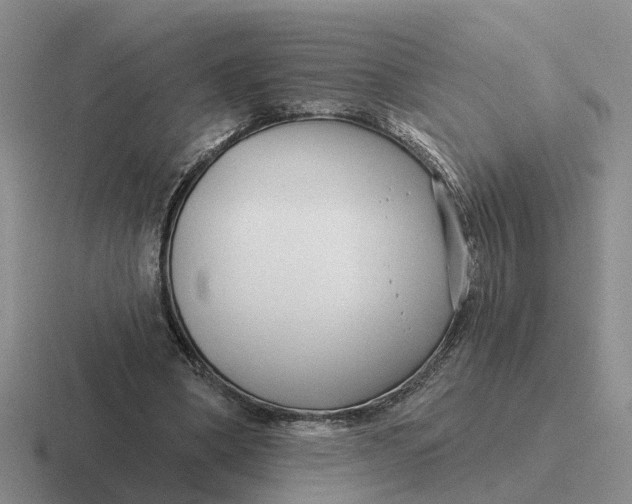 X0000116670394201001041133