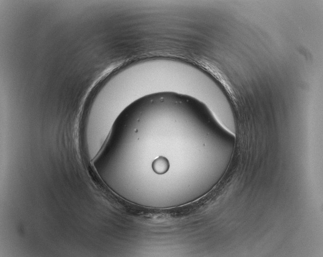 X0000116670395201001041133