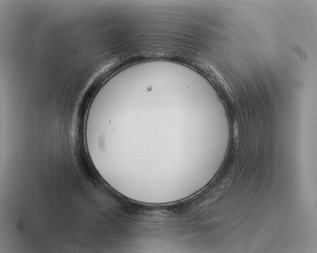 X0000116670396201001041133