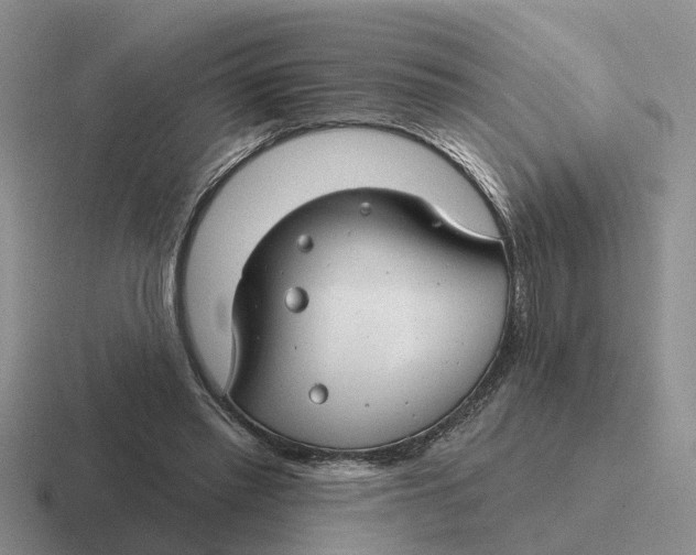 X0000116670397201001041133