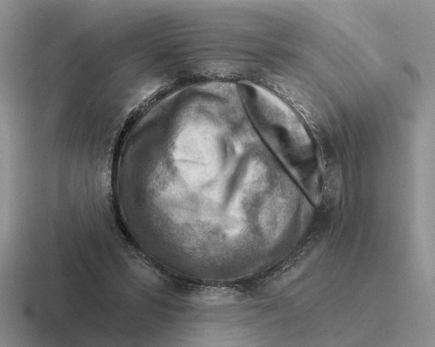 X0000116670399201001041133