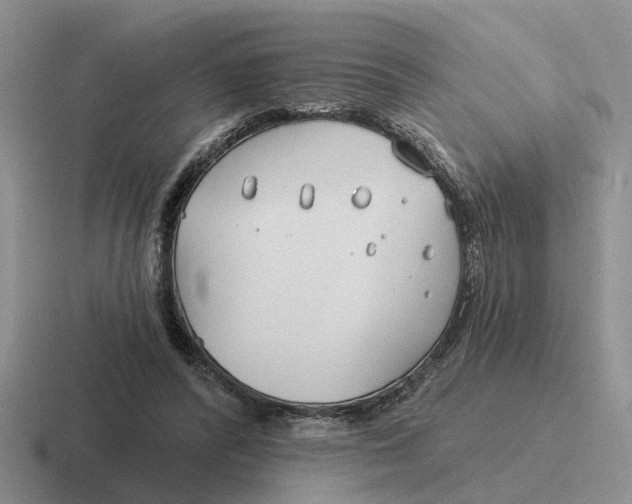 X0000116670400201001041133