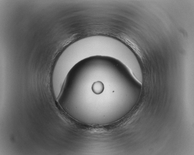 X0000116670401201001041133