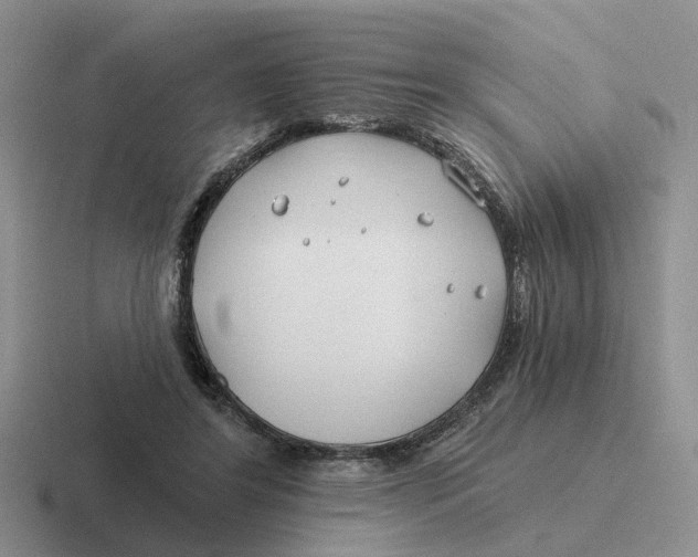 X0000116670404201001041133