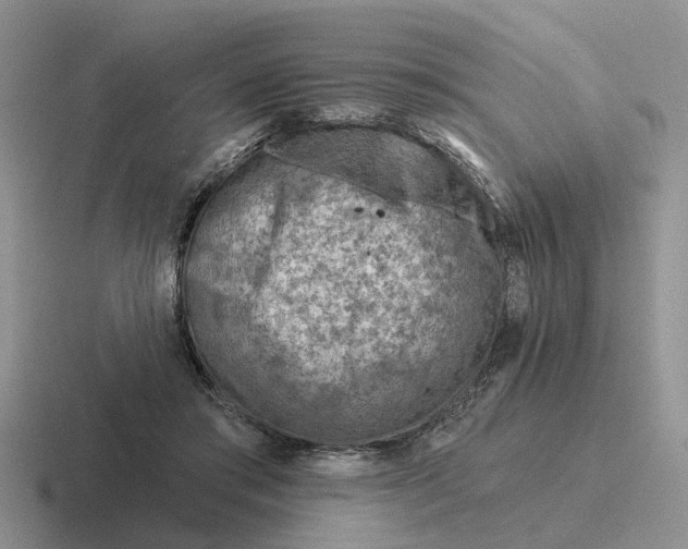 X0000116670405201001041133