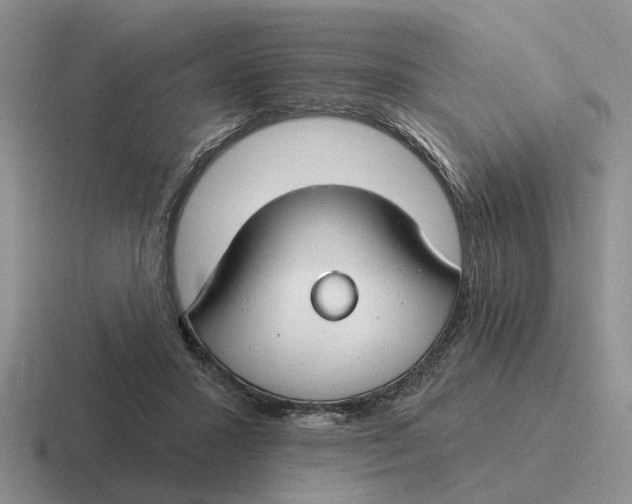 X0000116670407201001041133