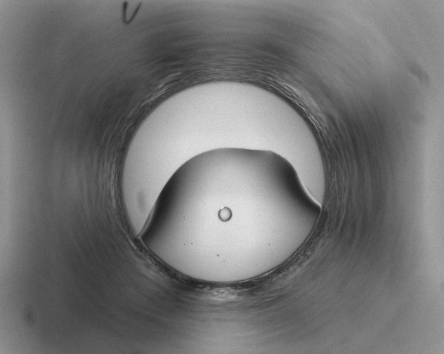 X0000116670409201001041133