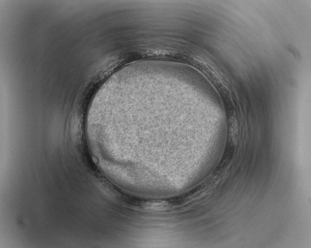 X0000116670410201001041133