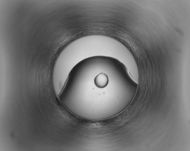 X0000116670411201001041133