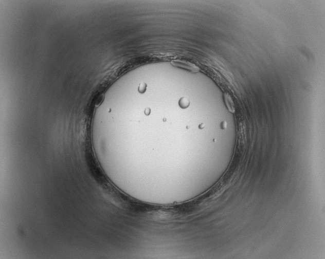 X0000116670412201001041133