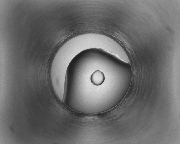 X0000116670415201001041133