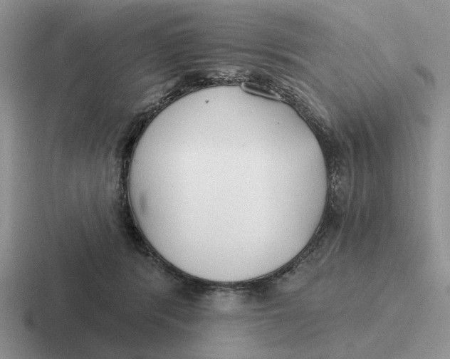 X0000116670416201001041133