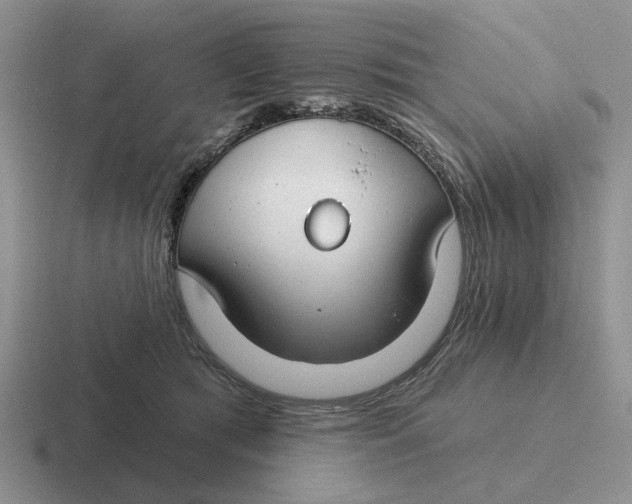 X0000116670417201001041133