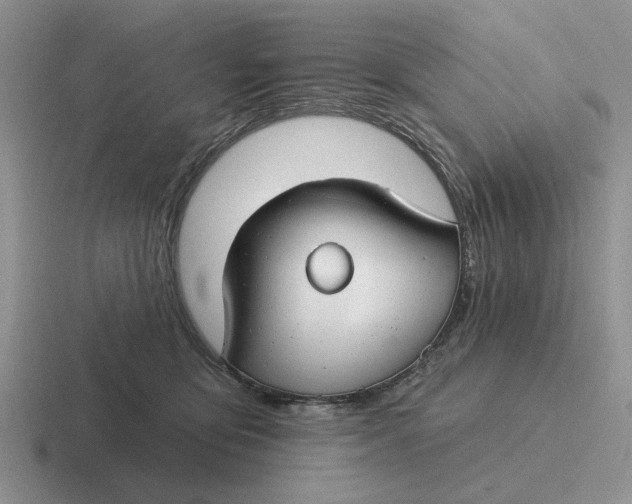 X0000116670419201001041133