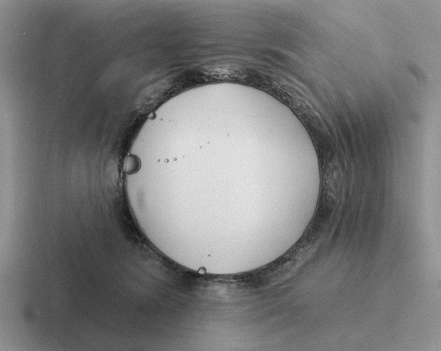 X0000116670420201001041133