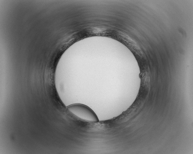 X0000116670421201001041133