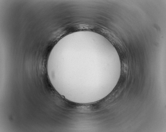 X0000116670422201001041133