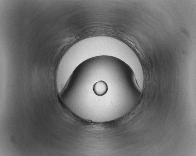 X0000116670423201001041133