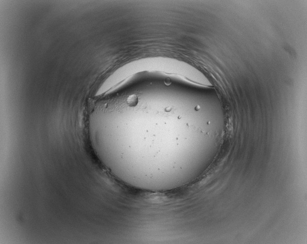 X0000116670424201001041133