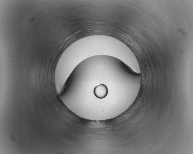 X0000116670425201001041133