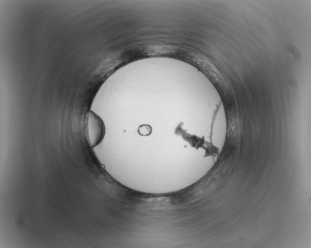 X0000116670426201001041133