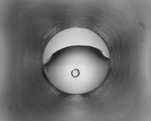 X0000116670427201001041133