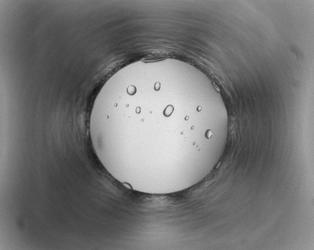 X0000116670428201001041133