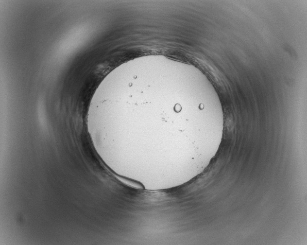 X0000116670429201001041133