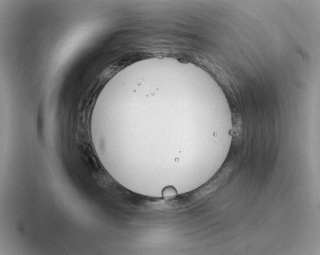 X0000116670430201001041133