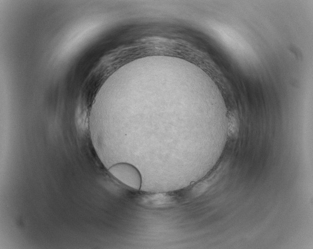 X0000116670431201001041133