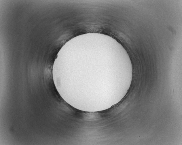 X0000116670432201001041133