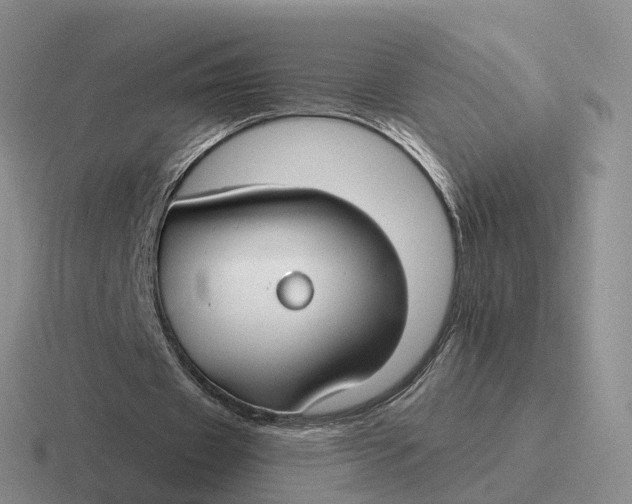 X0000116670433201001041132