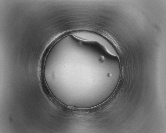 X0000116670436201001041132