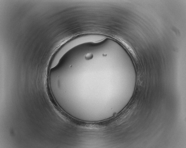 X0000116670437201001041132