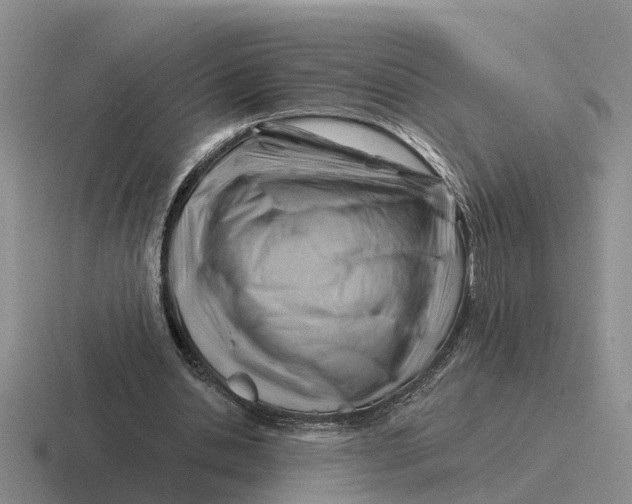 X0000116670438201001041132