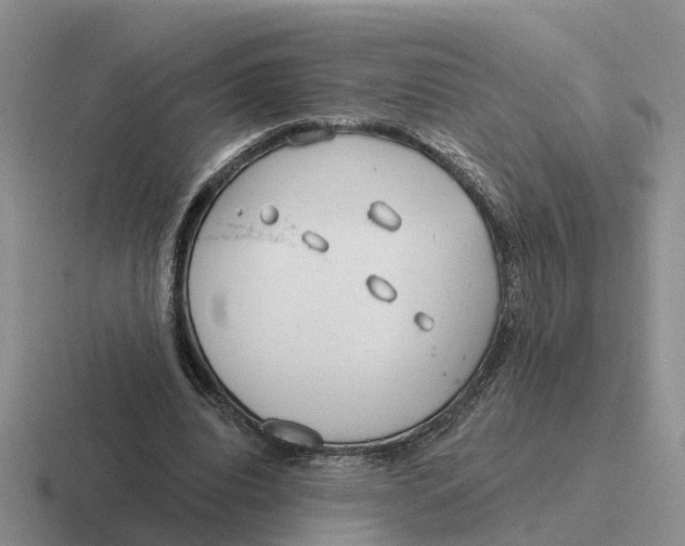 X0000116670440201001041132